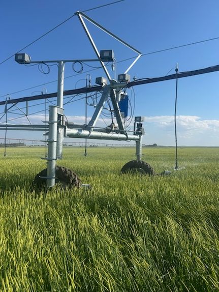 Farm Property for sale in Cascade County, Montana