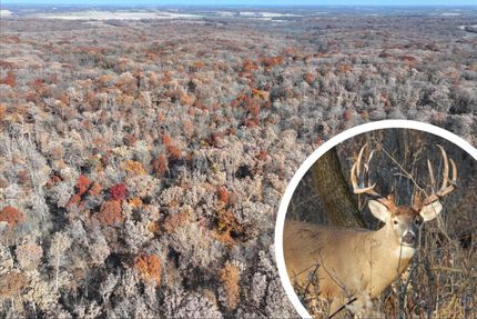 Property for sale in Davis County, Iowa