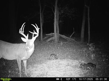 Property for sale in Lyon County, Kansas