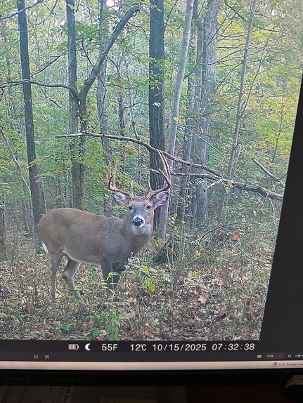 Property for sale in Pope County, Illinois