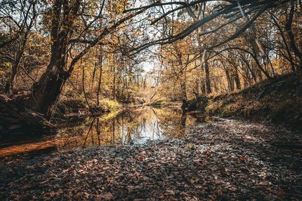 Undeveloped Land for sale in Orange County, Virginia