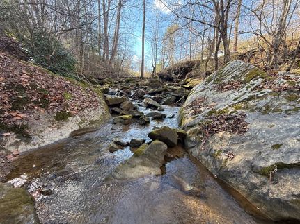 Timberland Property for sale in Breathitt County, Kentucky