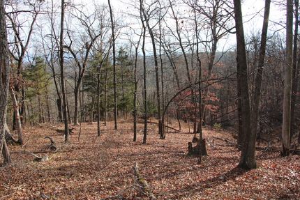 Residential Property for sale in Shenandoah County, Virginia