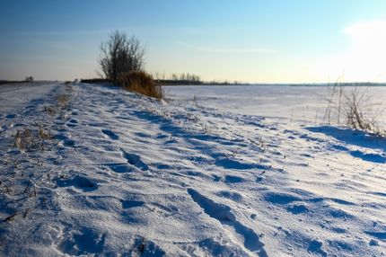 Property for sale in Codington County, South Dakota