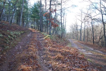 Farm Property for sale in Hampshire County, West Virginia