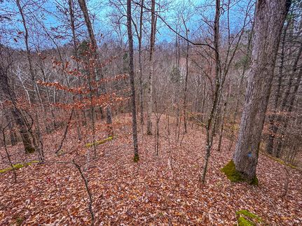 Timberland Property for sale in Ritchie County, West Virginia