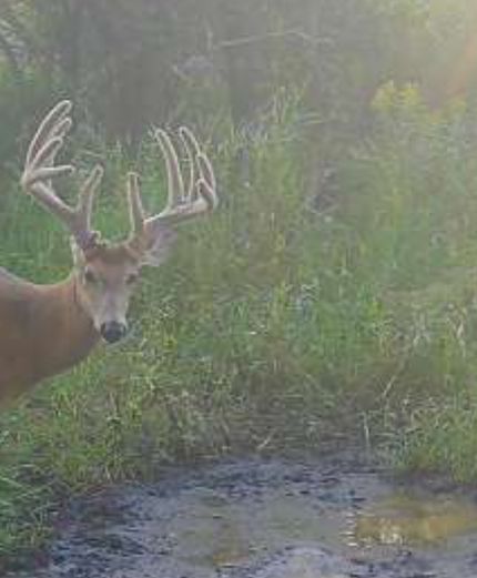 Property for sale in Otter Tail County, Minnesota