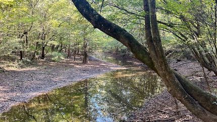 Property for sale in Covington County, Alabama