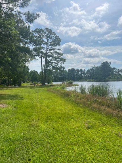 Timberland Property for sale in Jefferson County, Arkansas