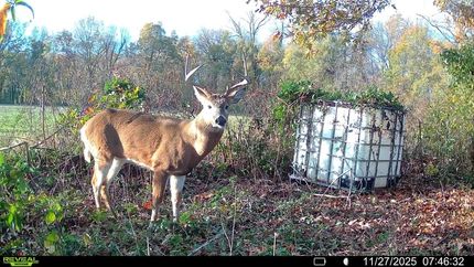 Property for sale in Crittenden County, Arkansas