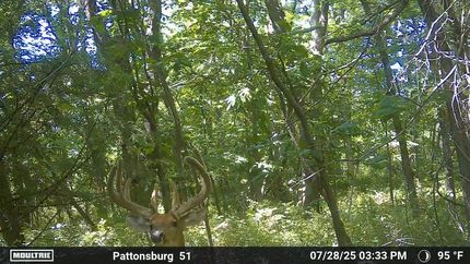 Recreational Property in Daviess County, Missouri