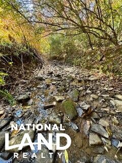 Hunting Land for sale in Clay County, Kentucky