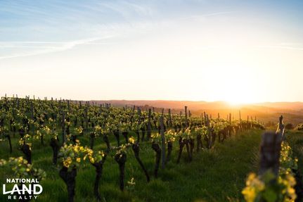 Property for sale in Albemarle County, Virginia