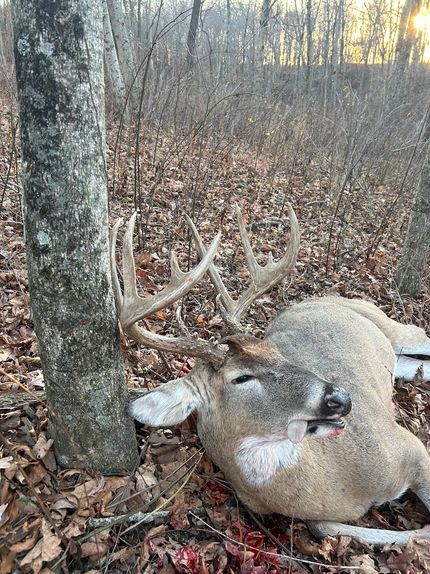 Farm Property in Clark County, Illinois