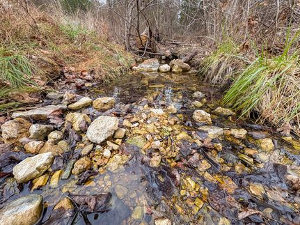 Farm Property for sale in Ozark County, Missouri