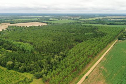 Timberland Property for sale in Turner County, Georgia