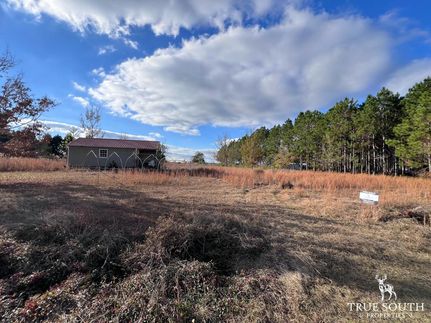 Property for sale in Screven County, Georgia
