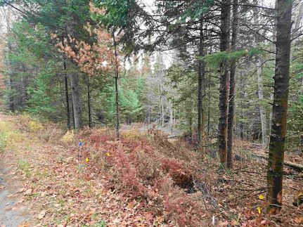 Farm Property for sale in Grafton County, New Hampshire