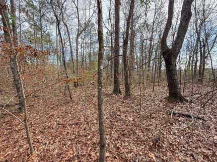Property for sale in Shelby County, Alabama