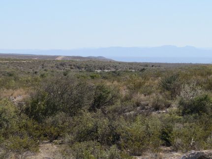 Undeveloped Land for sale in Terrell County, Texas