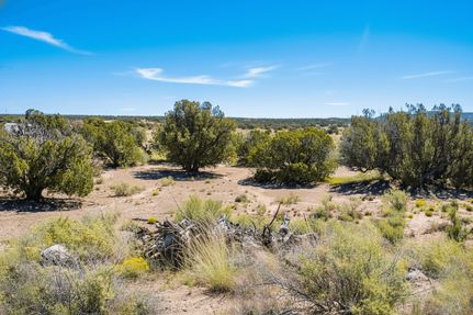 Undeveloped Land for sale in Navajo County, Arizona