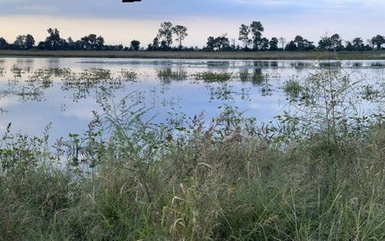 Property for sale in New Madrid County, Missouri