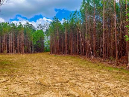 Undeveloped Land for sale in Lincoln County, Mississippi
