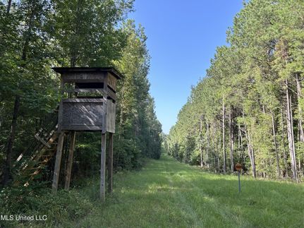 Waterfront Property for sale in Copiah County, Mississippi