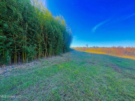 Waterfront Property for sale in Walthall County, Mississippi