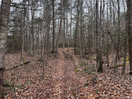 Residential Property for sale in Unicoi County, Tennessee