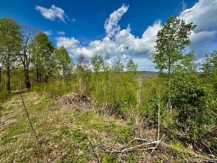 Recreational Property for sale in Unicoi County, Tennessee