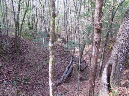 Property for sale in Lauderdale County, Mississippi