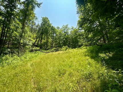 Property for sale in Johnson County, Tennessee