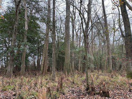 Undeveloped Land for sale in Worcester County, Maryland