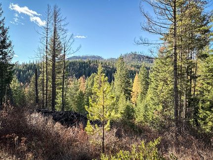 Timberland Property for sale in Stevens County, Washington