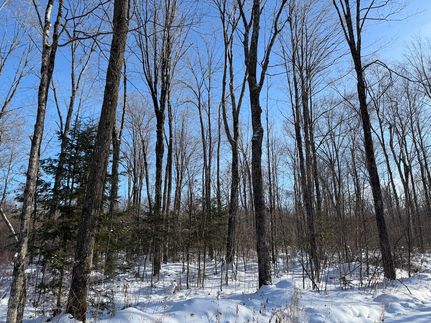 Timberland Property for sale in Lincoln County, Wisconsin