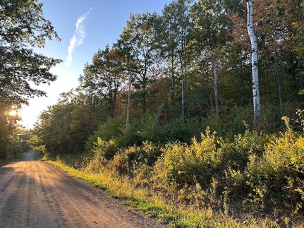 Undeveloped Land for sale in Allegany County, New York