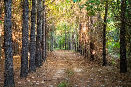 Timberland Property for sale in Sumter County, Georgia