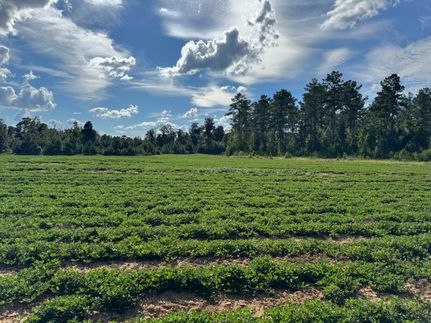 Recreational Property for sale in Early County, Georgia