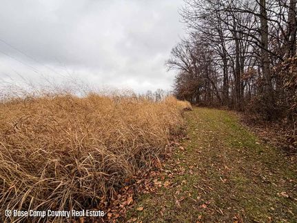 Hunting Land for sale in Greene County, Indiana