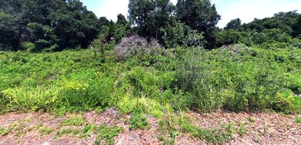 Recreational Property for sale in Marion County, Florida