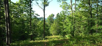 Ranch Property for sale in Bayfield County, Wisconsin