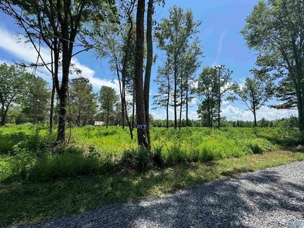 Farm Property for sale in Marshall County, Alabama