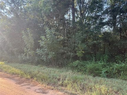 Farm Property for sale in San Jacinto County, Texas