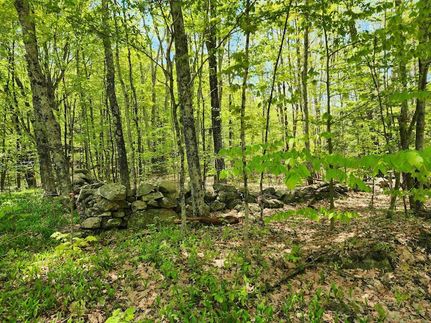 Farm Property for sale in Cheshire County, New Hampshire