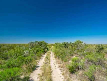 Hunting Land for sale in Terrell County, Texas