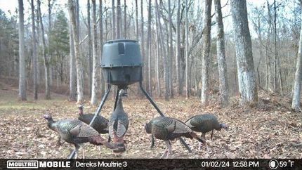 Property for sale in Marshall County, Mississippi