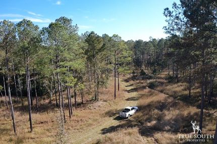 Undeveloped Land for sale in Hampton County, South Carolina