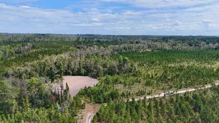 Property for sale in Jeff Davis County, Georgia