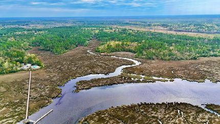Hunting Land for sale in Camden County, Georgia